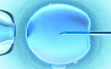 2026年上海试管婴儿指南，何时纳入医保看这里