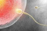 2026南京助孕机构一览：疾病咨询、亲怡服务一网打尽！