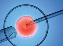 2026山东省潍坊市十大助孕公司行榜公布，您愿意信任哪一家