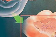 2026信阳TOP10助孕机构大盘点(正规助孕机构推荐)