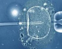 2026南京三代试管费用详解，掌握求医智慧攻略轻松应对