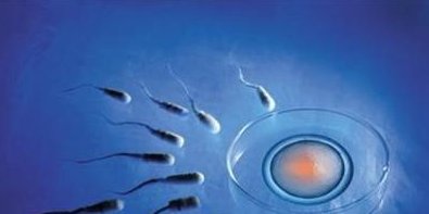 2026宁夏试管医院排名比较好？宁夏医科大学总医院实至名归