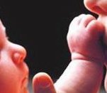 2026上海试管婴儿费用主要分3部分，来看看分别多少钱？